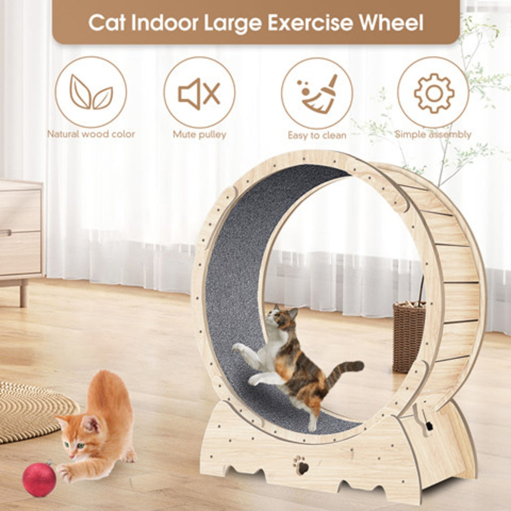 Cat Exercise Wheel – Indoor Running Wheel with Carpet Runway