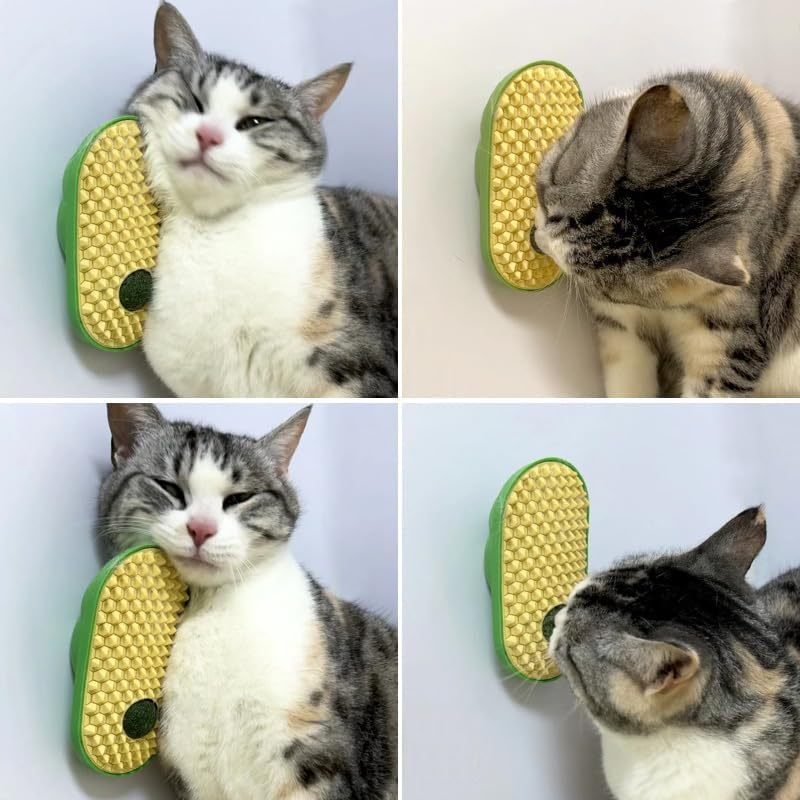 3-in-1 Catnip Wall Ball Toy & Self Groomer – Corner Massage Brush for Cats