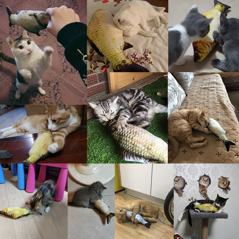 Electric Fish Toy for Cats – Realistic Jumping Motion, No Catnip