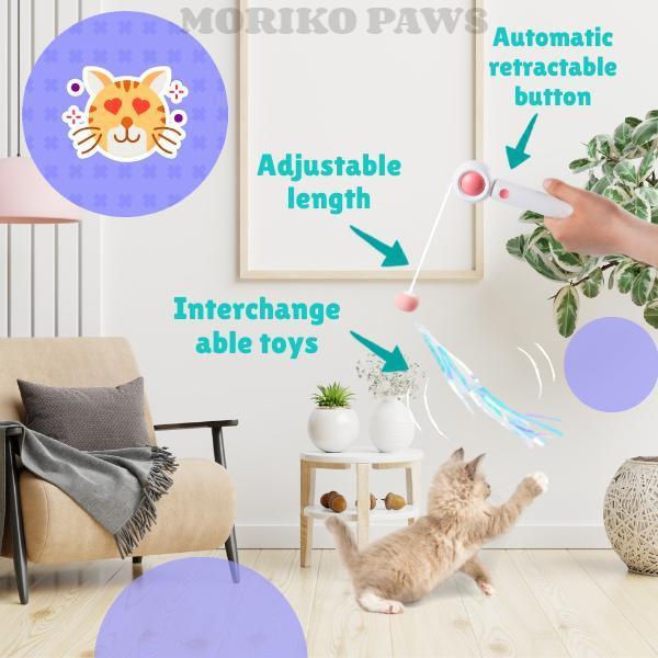 Laser Cat Stick Toy – Retractable Teaser Wand & Toy Ball
