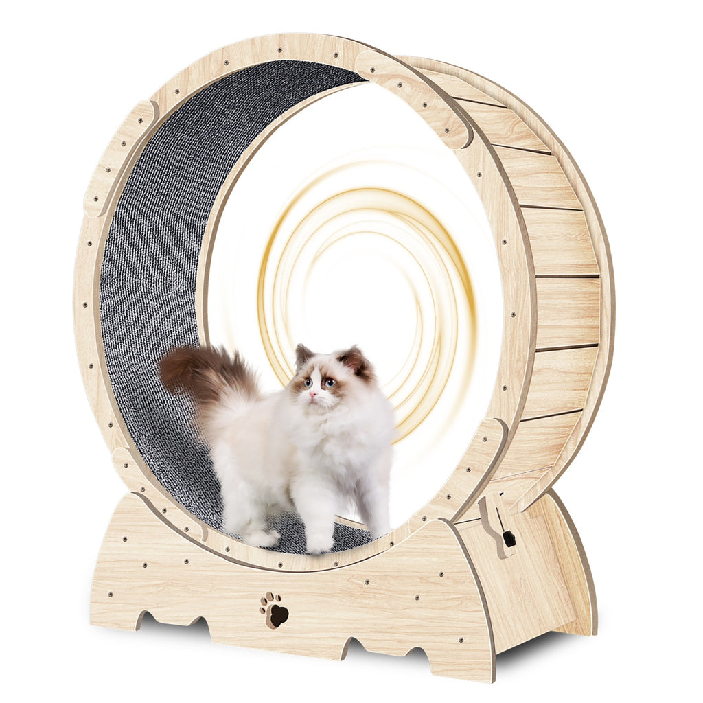 Cat Exercise Wheel – Indoor Running Wheel with Carpet Runway