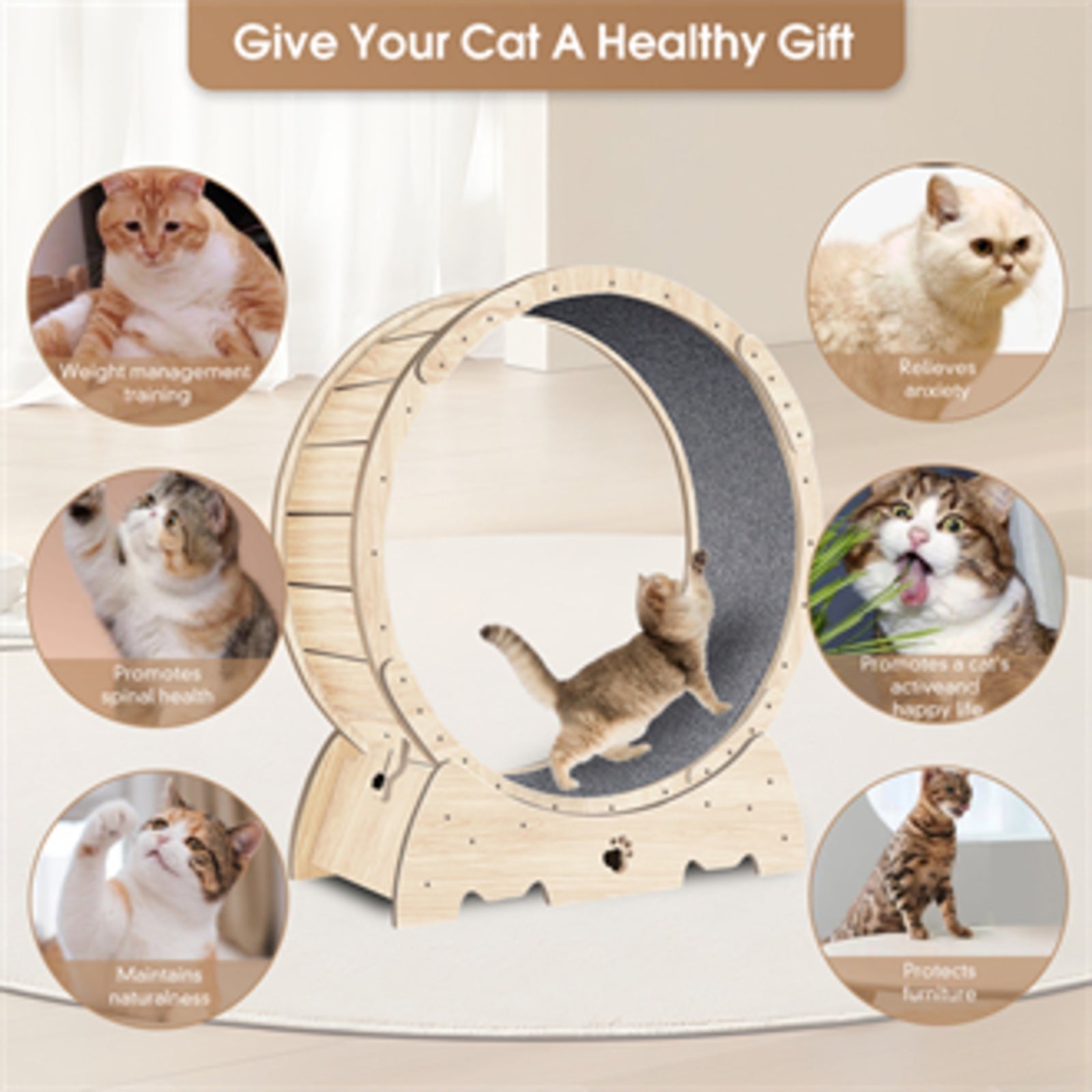 Cat Exercise Wheel – Indoor Running Wheel with Carpet Runway